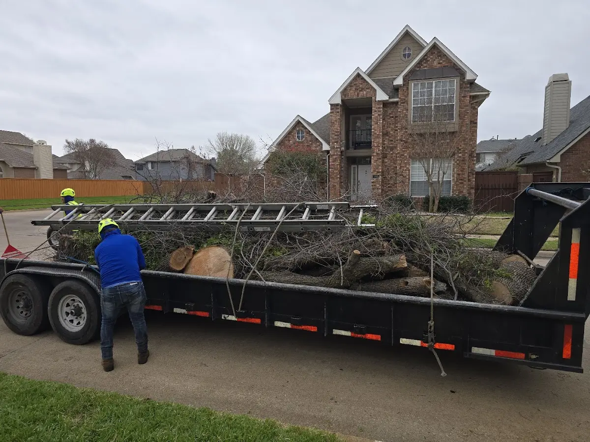 Expert Lot Clearing with proper safety equipment in Vinemont